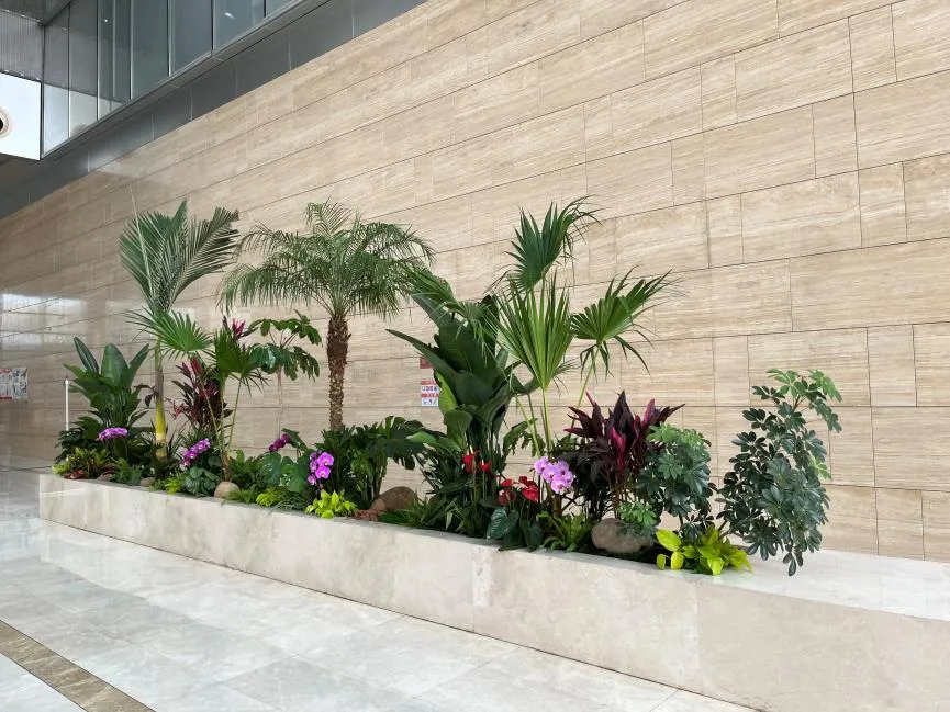 热词聚焦！宁波北仑专业花木租摆等你来